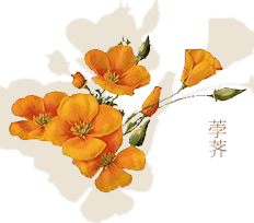 荸荠